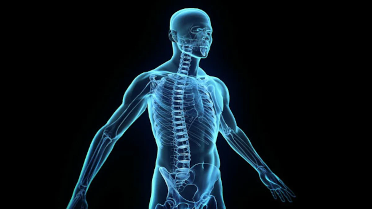 Biological Processes in Human Body